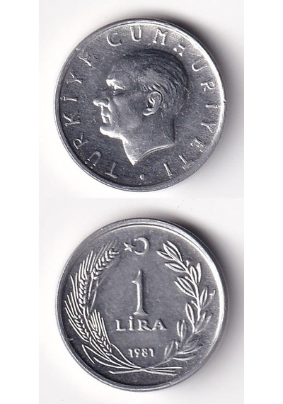 1 Lira 1981 Çil Eski Madeni Para