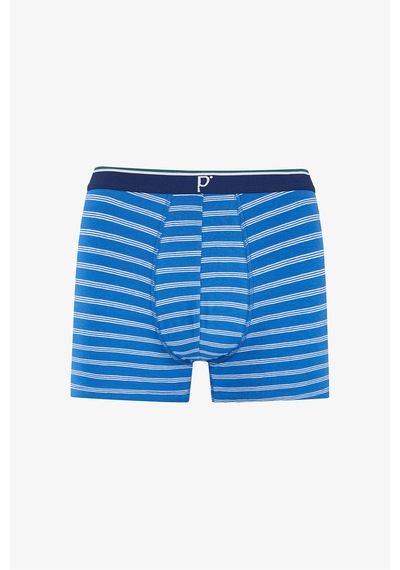 Penti Erkek Renkli Blue Check Çoklu Boxer