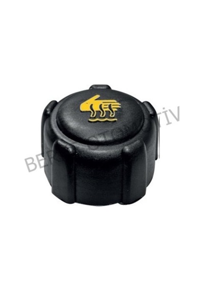 Renault Clio Symbol Radyatör Ek Depo Kapagi 8200048024 212374630