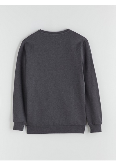 Lcw Eco Antrasit Bisiklet Yaka Baskılı Erkek Sweatshirt