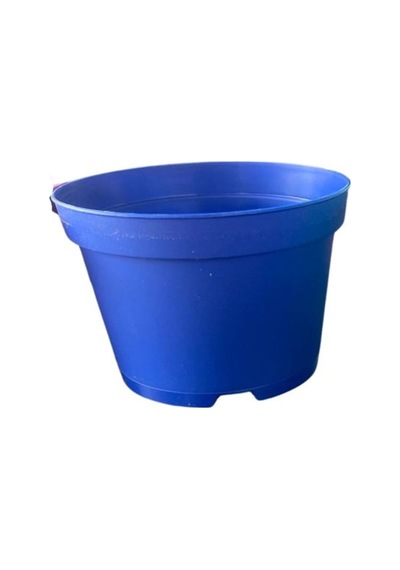 Avantajlı Katı Plastik Sukulent Saksısı 20 Adet Mavi 8.5 Cm