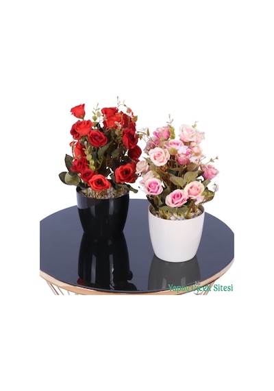 Yapay Çiçek Sitesi Plastik Saksıda Yapay Çalı Gülü Tanzimi 2'li Set 30 Cm Kırmızı - Somon Pembe