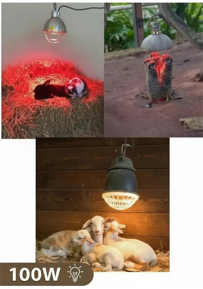 100w Kızılötesi İnfrared Isıtıcılı Hayvan Isıtma Ve Kuluçka Lambası Kırmızı Işık E27 Kalın Duy