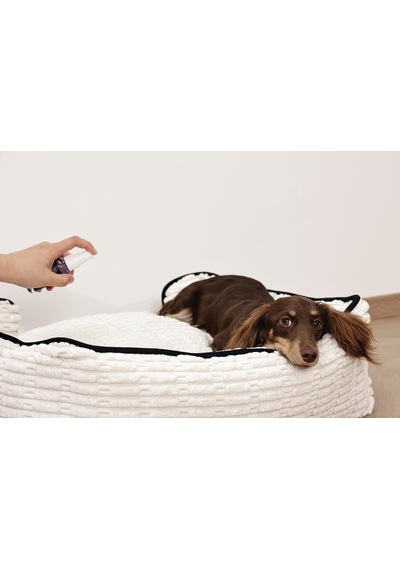 Keep Calm Köpek Sakinleştirici Sprey 60ml