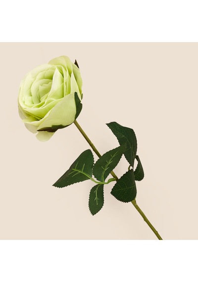 Deco Gül Yapay Dal Çiçek - Açık Yeşil - 68 Cm Çok Renkli