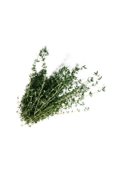 Süper Paket 750 Adet Tohum Aromatik Doğal Dağ Kekiği Tohumu Kekik