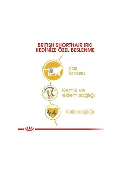 Royal Canin British Shorthair İçin Özel Irk Yetişkin Kedi Maması 400 Gr