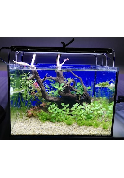 50cm Akvaryum Armatürü 1050l