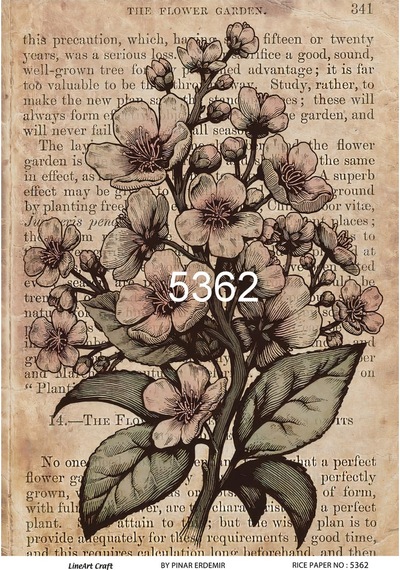 Lineart Pirinç Dekopaj Kağıdı La-5362