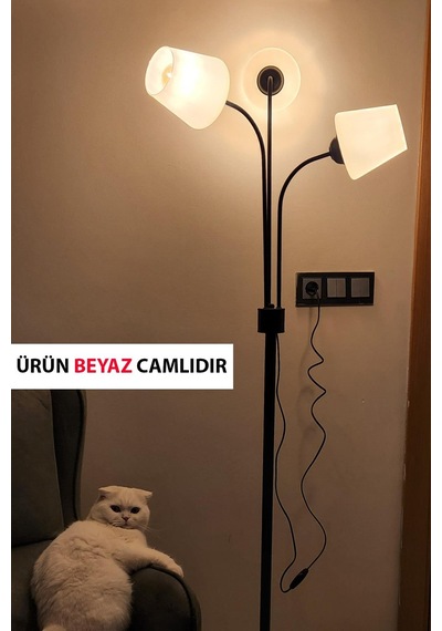 Zambak 3 Lü Siyah Tasarım Metal Ayaklı Lambader Ermando Cam Oturma Odası-salon Lambader Çok Renkli