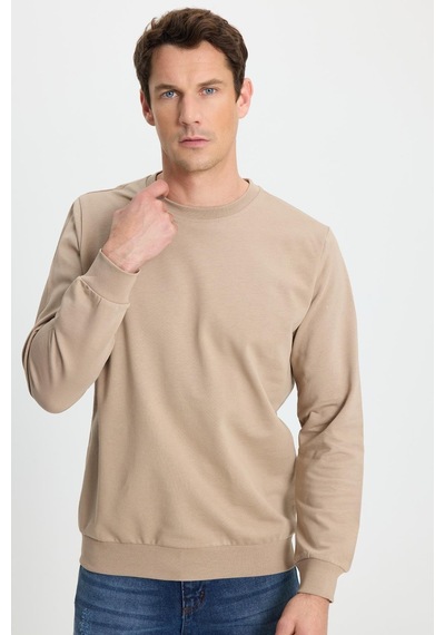 Tudors Erkek Relax Fit Rahat Kesim %100 Pamuk 2 İplik Bisiklet Yaka Taş Sweatshirt -41524 Taş