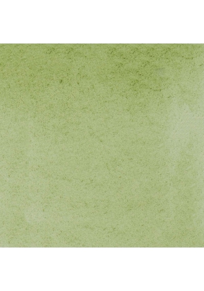 Schmincke : Horadam Aquarell Artist Sulu Boya : Tam Tablet : Seri 1 516 Green Earth