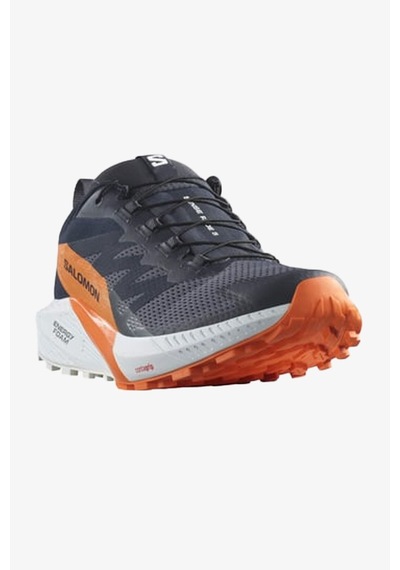 Salomon Sense Ride 5 Gtx Erkek Patika Koşusu Ayakkabısı L47459400 Antrasit