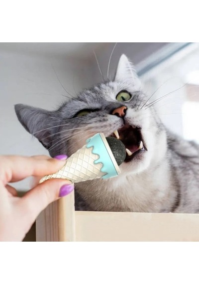 Büro Ev Evcil Hayvanı İçin Dondurma Tipi Kedi Nanesi Otu Oyunu