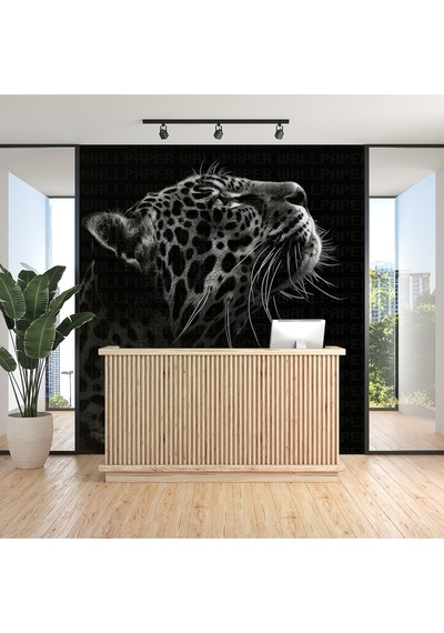 Siyah Beyaz Jaguar Poster Duvar Kağıdı Renkli