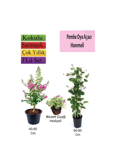 Pembe Oya Ağacı+ Hanımeli Çiçeği+ Mezem Çiçeği Hediyeli
