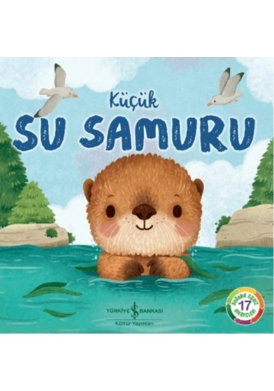 Küçük Su Samuru