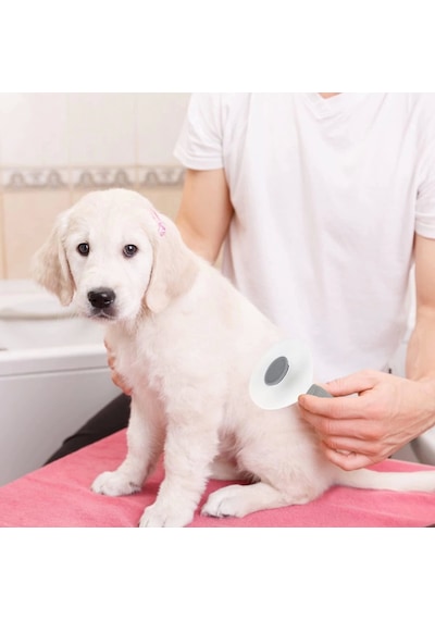 Kedi Köpek Tüy Toplayıcı Pet Tarak 20 Cm Çok Renkli