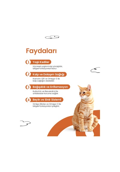 Kediler İçin Longevity Takviyesi