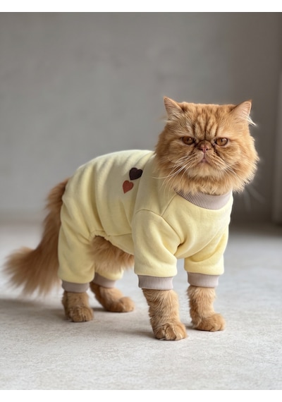 Winter Hearts Kedi Tulumu Pamuklu Polar Kedi Kıyafeti Küçük Irklar İçin Tüy Dökülmesini Azaltır