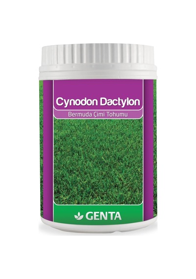 Cynodon Dactylon Bermuda Çim Tohumu 500 Gr