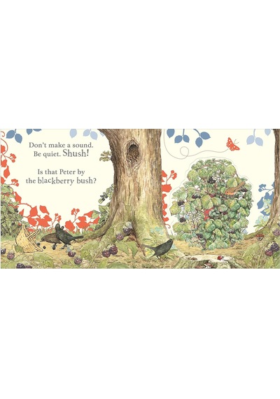 Where İs Peter Rabbit : Lift The Flap Book
