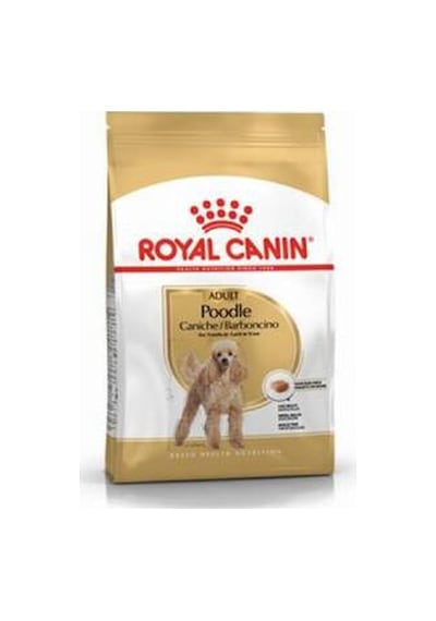 Poodle Adult Yetişkin Köpek Maması 3 Kg