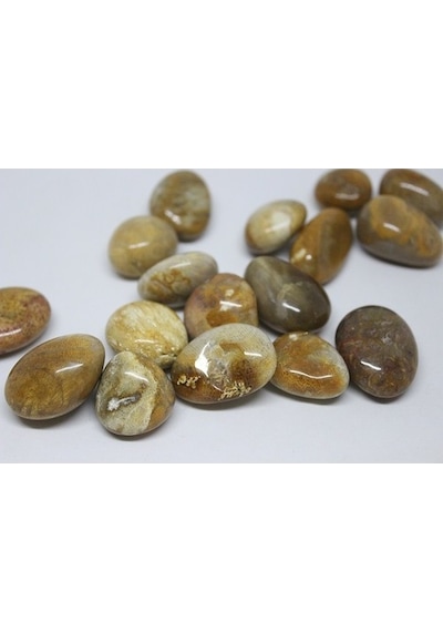 Tibet Akik Taşı ( 10-19 Gram)
