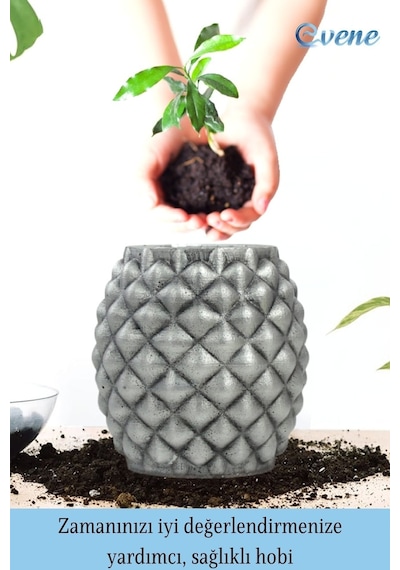 Ahşap Ayaklı Beton Saksı Büyük Boy 1 Adet Ananas Model - Gümüş Eskitme
