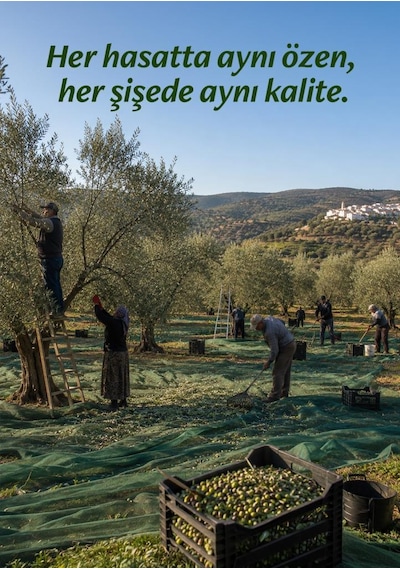 Olivisimo Erken Hasat Soğuk Sıkım Natürel Sızma Zeytinyağı 2 Lt