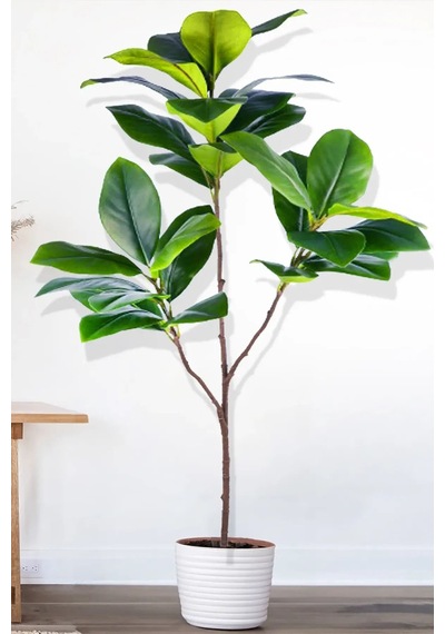 Yapay Ağac Kauçuk Bitkisi 3 Dallı 135 Cm Saksısız