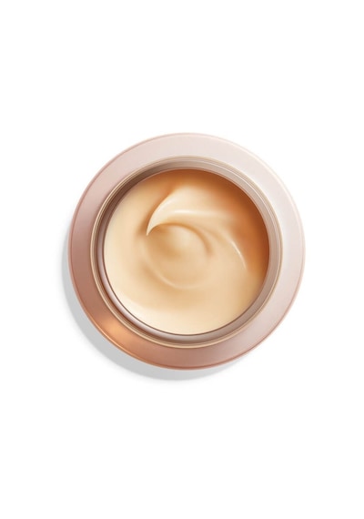 Shiseido Benefiance Overnight Wrinkle Resisting Cream 50 ML