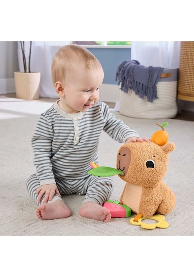 Fisher-price Yumuşak Kapibara Hyr54