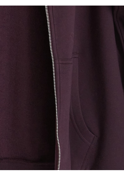 LC Waikiki Lc Waıkıkı Mürdüm Kapüşonlu Kadın Kalın Fermuarlı Sweatshirt