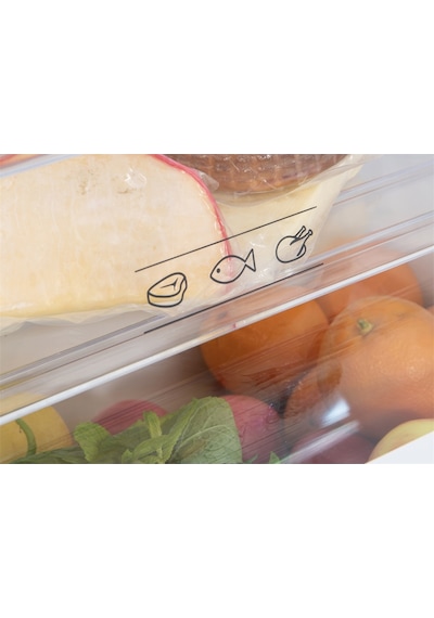 Regal NF 52021 451 LT No-Frost Çift Kapılı Buzdolabı