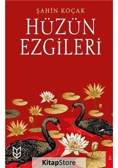 Hüzün Ezgileri - Şahin Koçak - Yason Yayıncılık