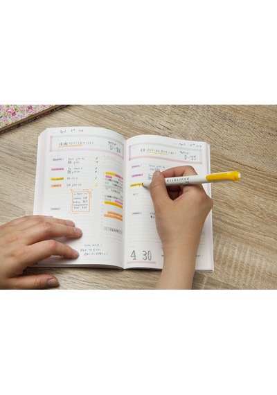 Zebra Mildliner Çift Taraflı Işaretleme Kalemi 5'li Set Pastel Re