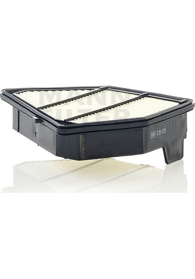 Mann Filter C25028 Hava Filtresi