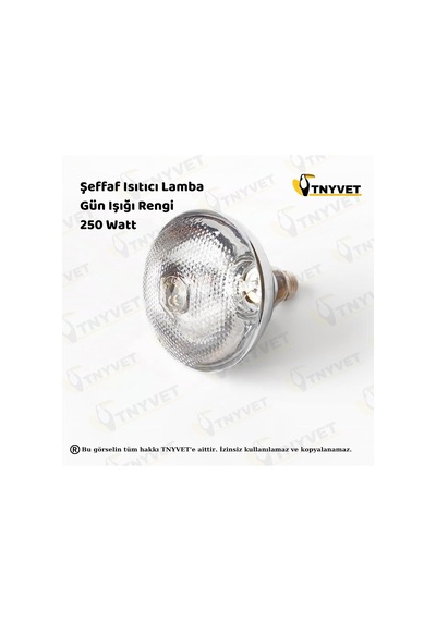 Tnyvet Şeffaf Renk/ınfrared Civciv, Buzağı, Kuzu Isıtıcı Lamba - Ampul 250 Watt