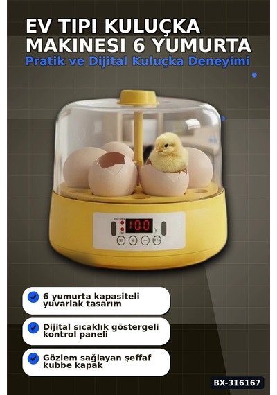 Kuluçka Makinesi 6 Yumurta Kapasiteli Otomatik Döndürmeli Ev Tipi Mini Bx-316167
