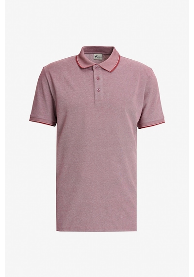 AC&Co / Altınyıldız Classics Erkek Bordo-Acık Sıyah-Acık Lacı Çekmeyen Pamuklu Kumaş Slim Fit Dar Kesim 3 'Lü Kıvrılmaz Polo Yaka Tişört Çok Renkli AC&Co / Altınyıldız Classics Erkek Bordo-Acık Sıyah-Acık Lacı Çekmeyen Pamuklu Kumaş Slim Fit Dar Kesim 3 'Lü Kıvrılmaz Polo Yaka Tişört Çok Renkli