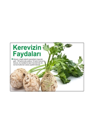 Kök Kereviz Tohumu 10 GR Çanakkale Yerli