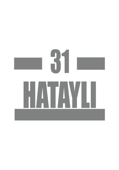 31 Hataylı Araba Sticker 17x17 Cm Gri