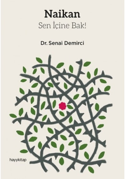 Naikan-Sen İçine Bak! - Senai Demirci - Hayykitap