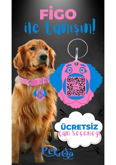 Petjoo 27.Figo Mavi-Pembe Qr'lı Köpek Künyesi
