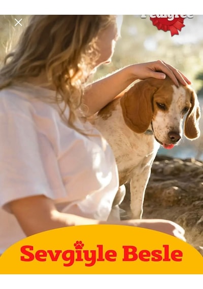 Pedigree Sığırlı Konserve Yaş Köpek Maması 400 G 2 Adet