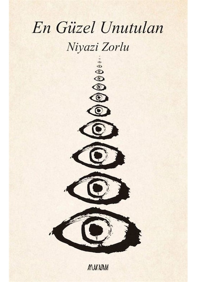 En Güzel Unutulan - Niyazi Zorlu - Aylak Adam