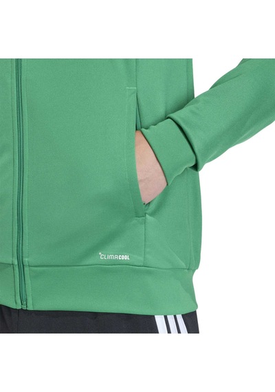 Teagrn/whıte Adidas Erkek Futbol Mont Tiro26l Tr Jkt Jy7208 Yeşil