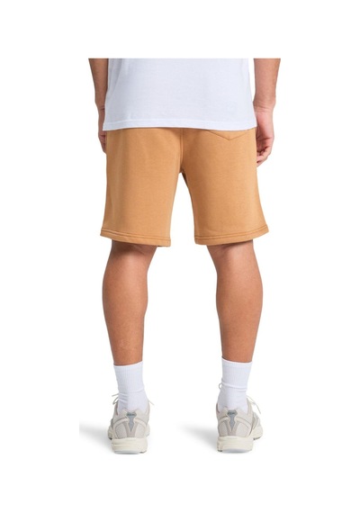 Quiksilver Salt Water Shor Erkek Şort Eqyfb03392-qk.3106 Kahverengi