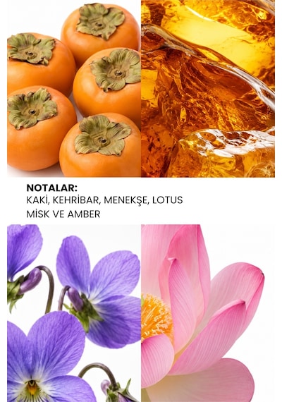Ixora K234 Pretty Kadın Parfüm EDP 100 ML